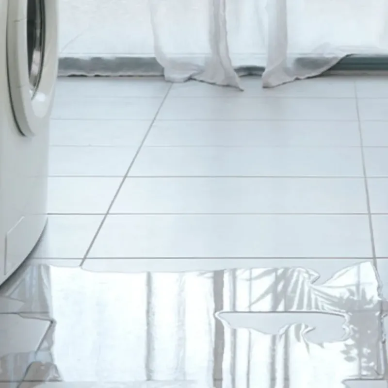 Appliance Leak Cleanup in Pamplico, SC