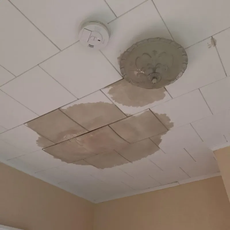 Ceiling Water Damage Repair in Pamplico, SC