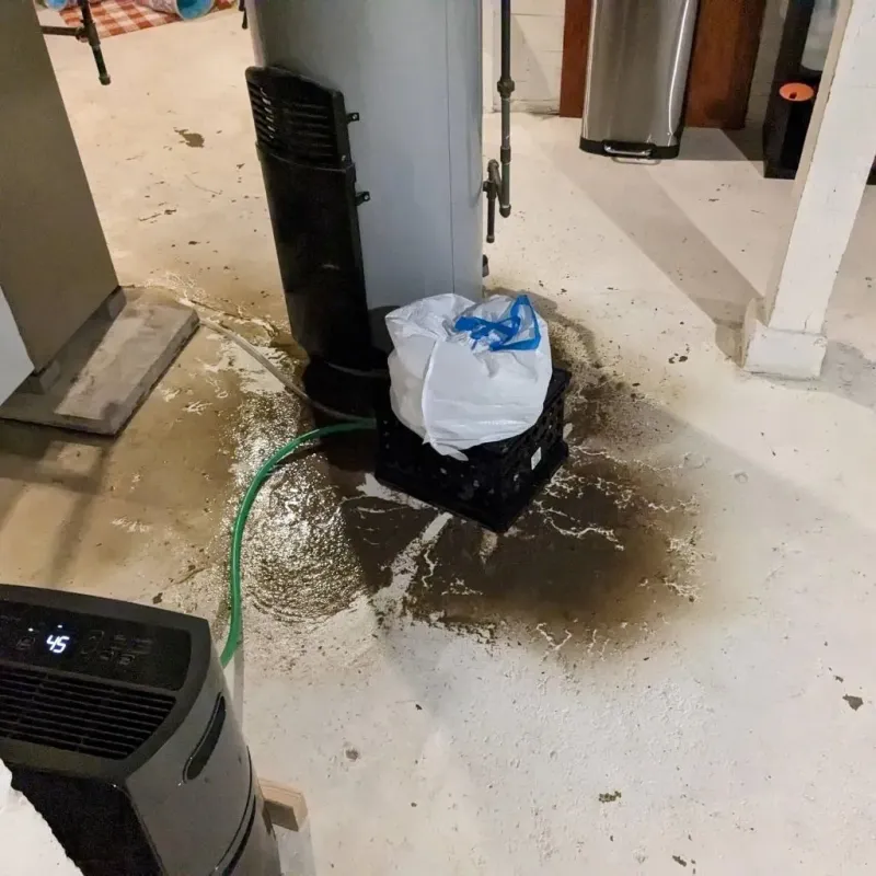 Sewage Backup Cleanup Service in Pamplico, SC